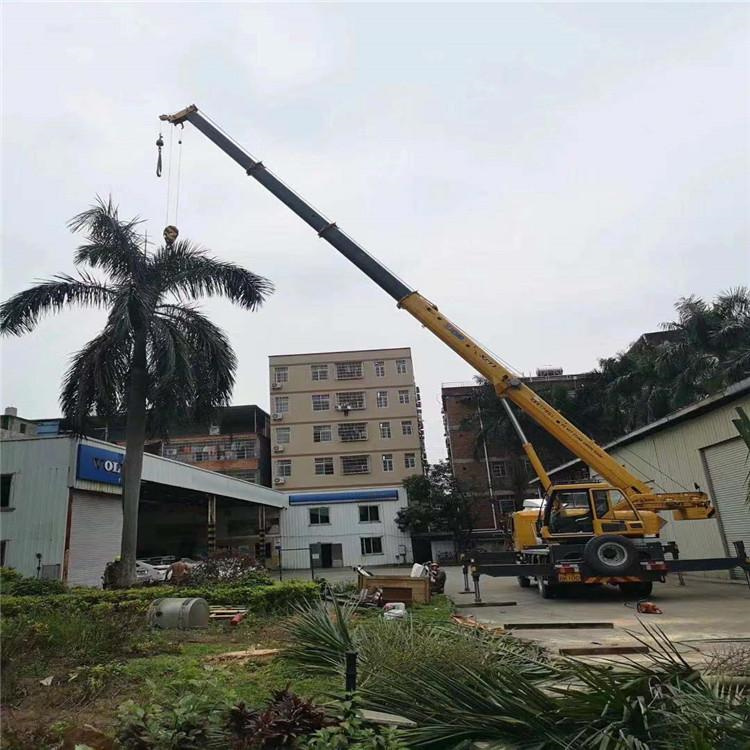 孝南汽车吊出租多少钱？全面解析与市场行情