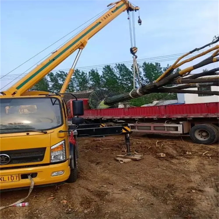 孝南100吨吊车租赁费用怎么算？3大关键因素+省钱技巧全解析